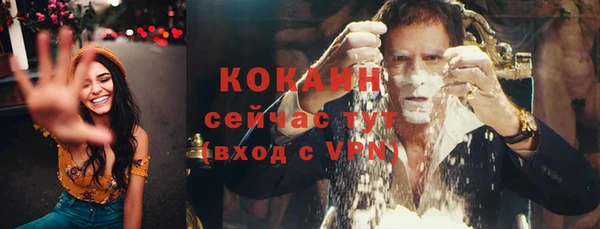шишки Белоозёрский