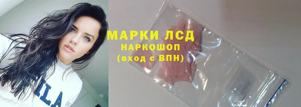 ГАЛЛЮЦИНОГЕННЫЕ ГРИБЫ Беломорск