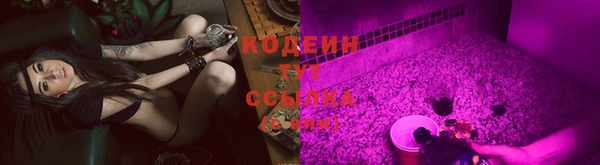 шишки Белоозёрский