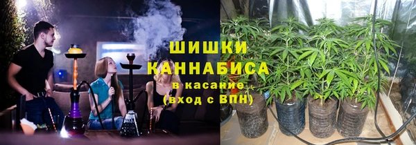 шишки Белоозёрский