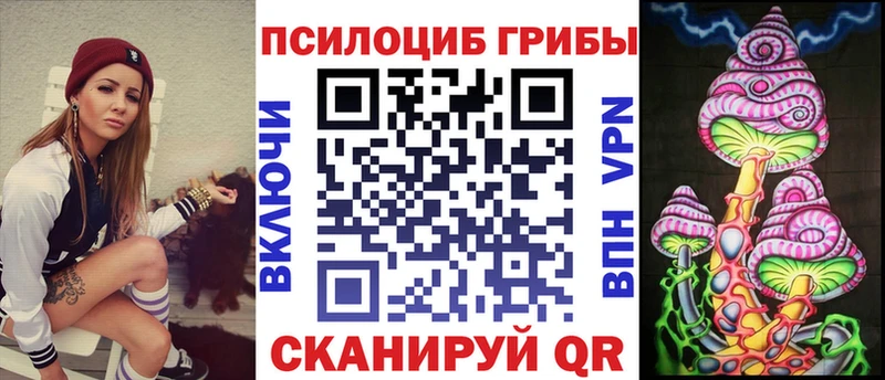 Псилоцибиновые грибы мухоморы  где купить наркоту  Острогожск 