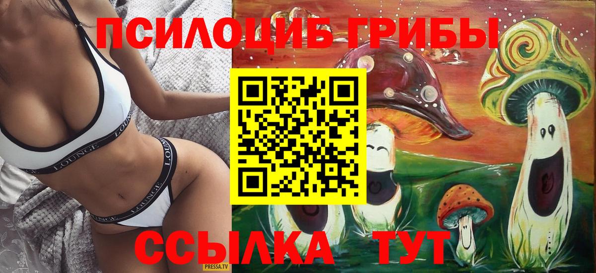 Псилоцибиновые грибы GOLDEN TEACHER  Вход с VPN  Острогожск 